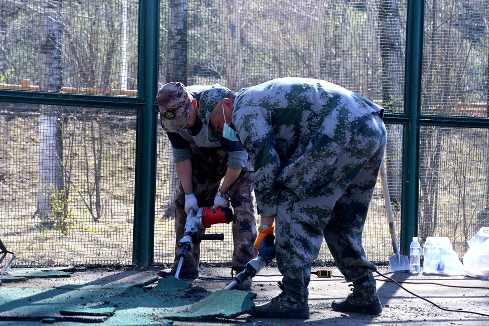綽爾森工公司玉溪公園改造動(dòng)物圈舍 (2).jpg