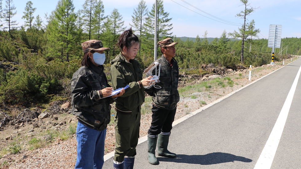 阿爾山森工公司森防站利用無人機助力偃松病害監(jiān)測調查.jpg