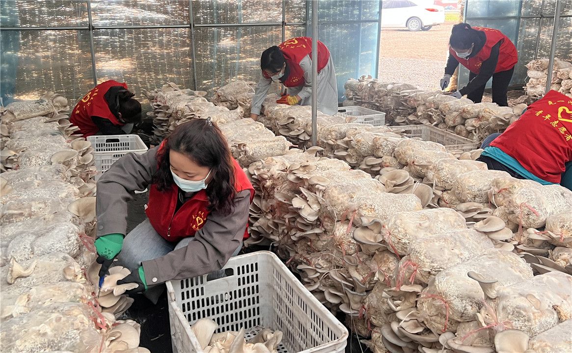 克一河團委.jpg
