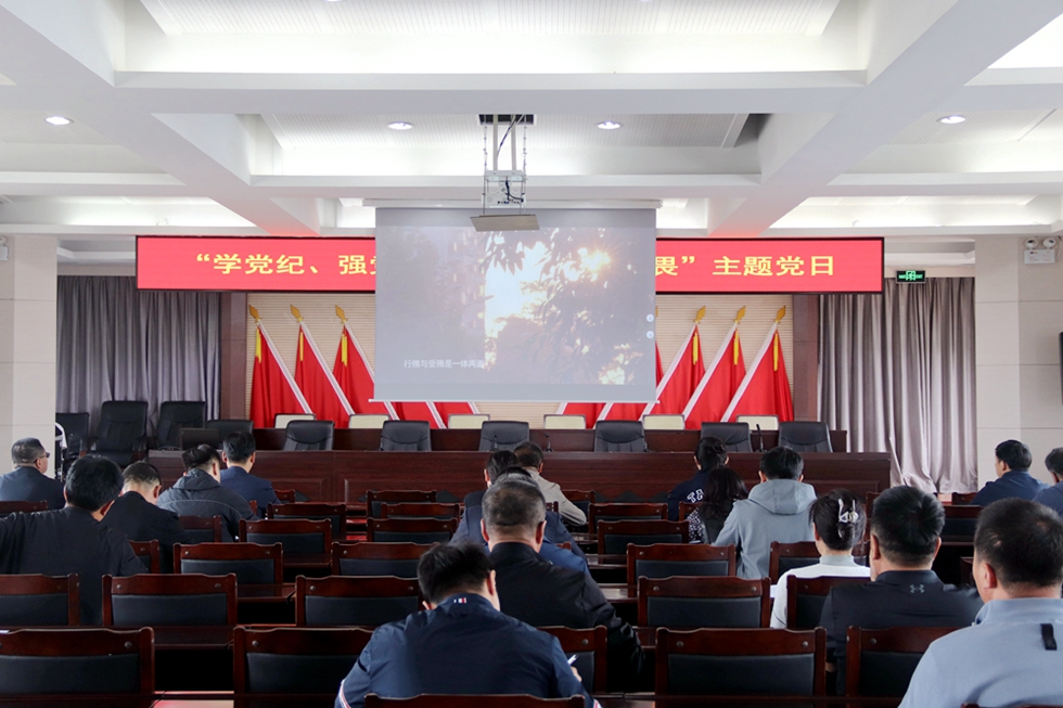 畢拉河林業有限公司黨委組織部、紀委聯合開展“學黨紀、強黨性、明底線、知敬畏”主題黨日活動.JPG