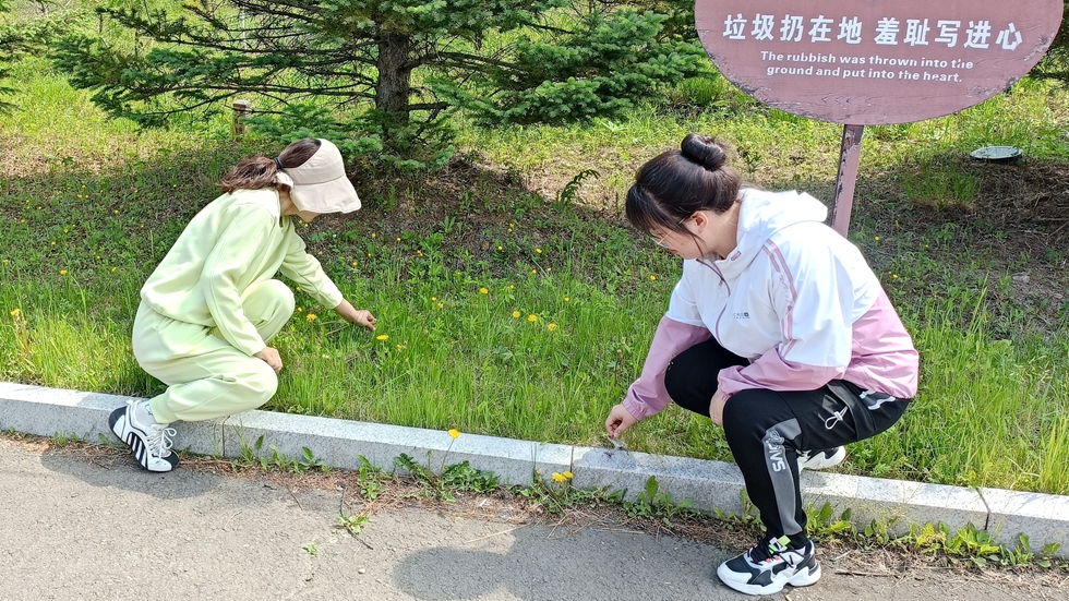 阿里河森工公司信息中心開展“清撿垃圾 助力環保”主題志愿服務活動.jpg