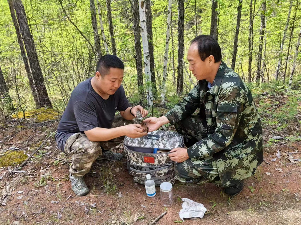 滿歸森工公司森防站對阿魯自然保護(hù)區(qū)進(jìn)行有蟲柱率調(diào)查.jpg