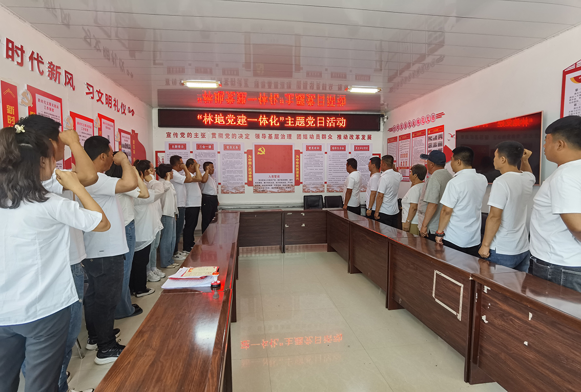畢拉河林業(yè)有限公司諾敏林場黨支部與臥羅迪村黨支部共同開展“林地黨建一體化”建設(shè)主題黨日活動(dòng) (2) 拷貝.jpg