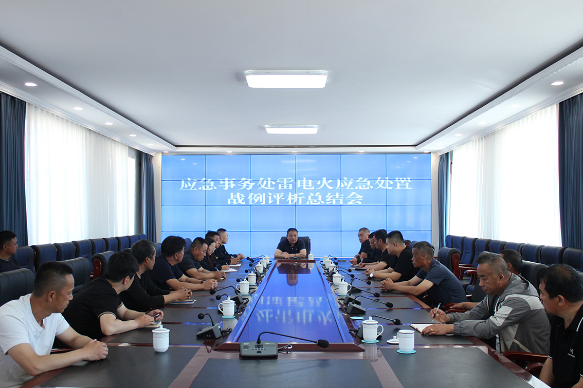 金河森工公司應急事務處召開雷電火應急處置戰例評析總結會 拷貝.jpg