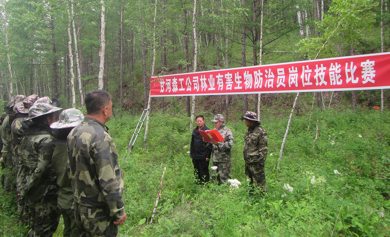 甘河森工公司工會舉辦2024年林業有害生物防治員崗位技能競賽 拷貝.jpg