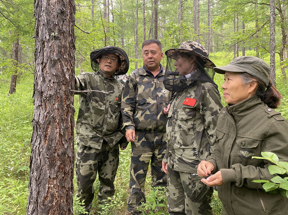 甘河森工公司工會舉辦2024年林業有害生物防治員崗位技能競賽1 拷貝.jpg