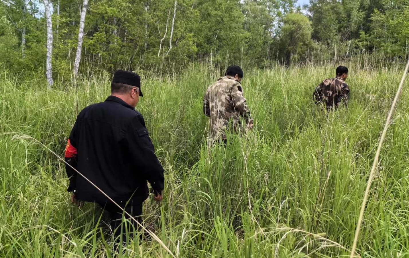 畢拉河林業有限公司達爾濱湖林場開展禁毒踏查工作.jpg
