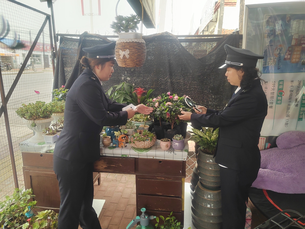阿龍山森工公司森林經營中心對花卉市場開展外來有害生物檢疫檢查.jpg