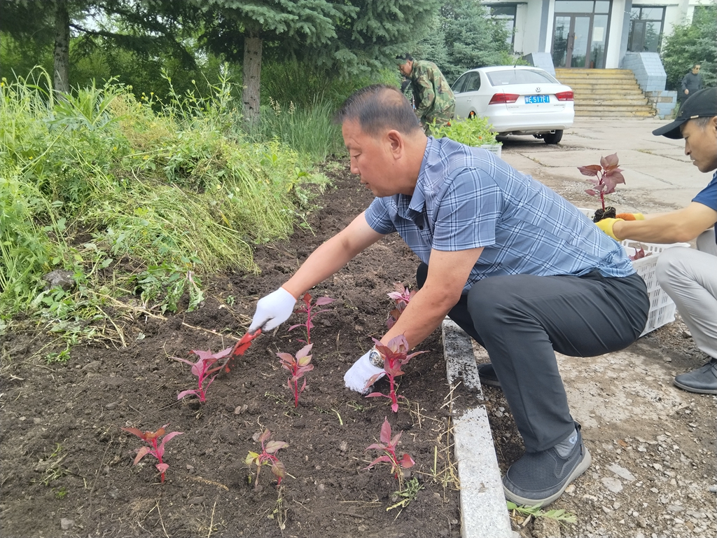 得耳布爾森工公司貯木中心種植花卉扮靚單位環境.jpg