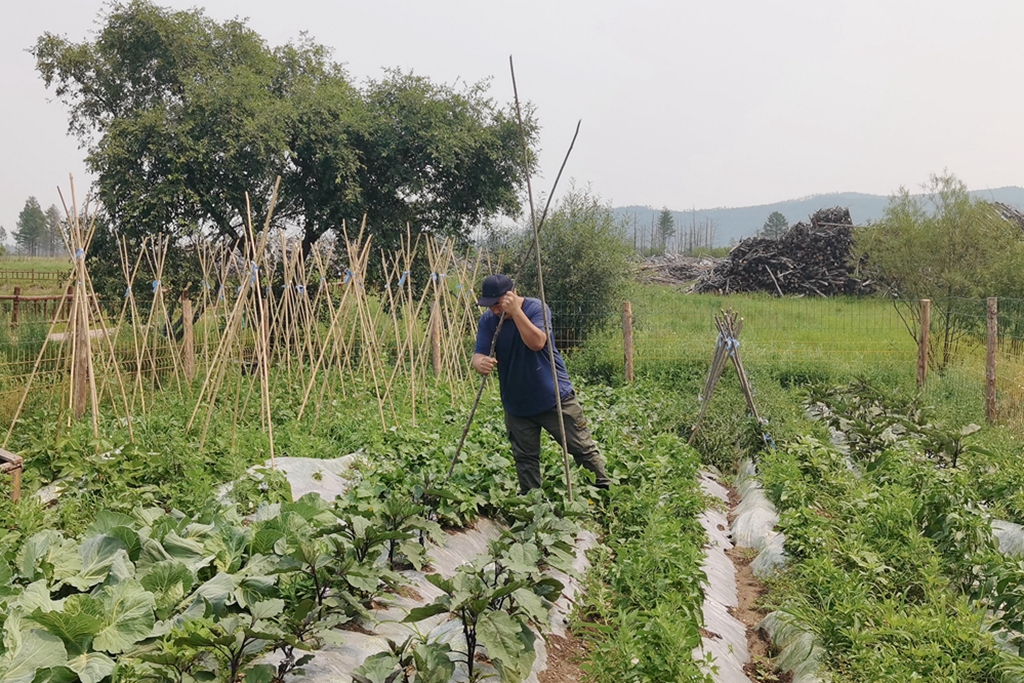 畢拉河林業有限公司達爾濱湖林場：職工小菜園 種出溫暖大家園.jpg