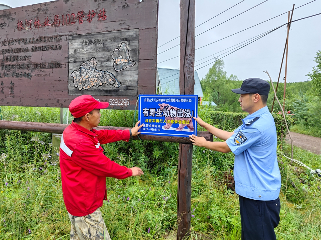 根河分局在施業(yè)區(qū)內(nèi)安裝野生動物警示標(biāo)牌 (1).jpg