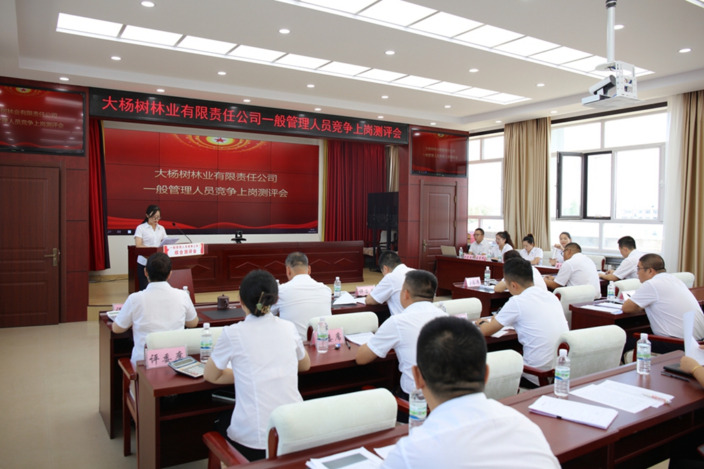 大楊樹林業有限公司舉辦公司總部一般管理人員競爭上崗測評會.JPG