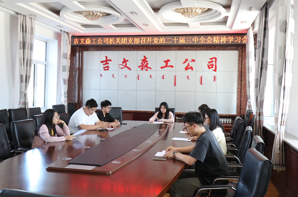 吉文森工公司機關(guān)團支部召開黨的二十屆三中全會精神學習會.jpg