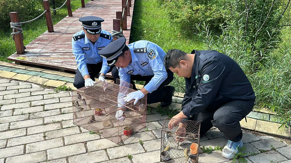 微信圖片_20240809085608.jpg