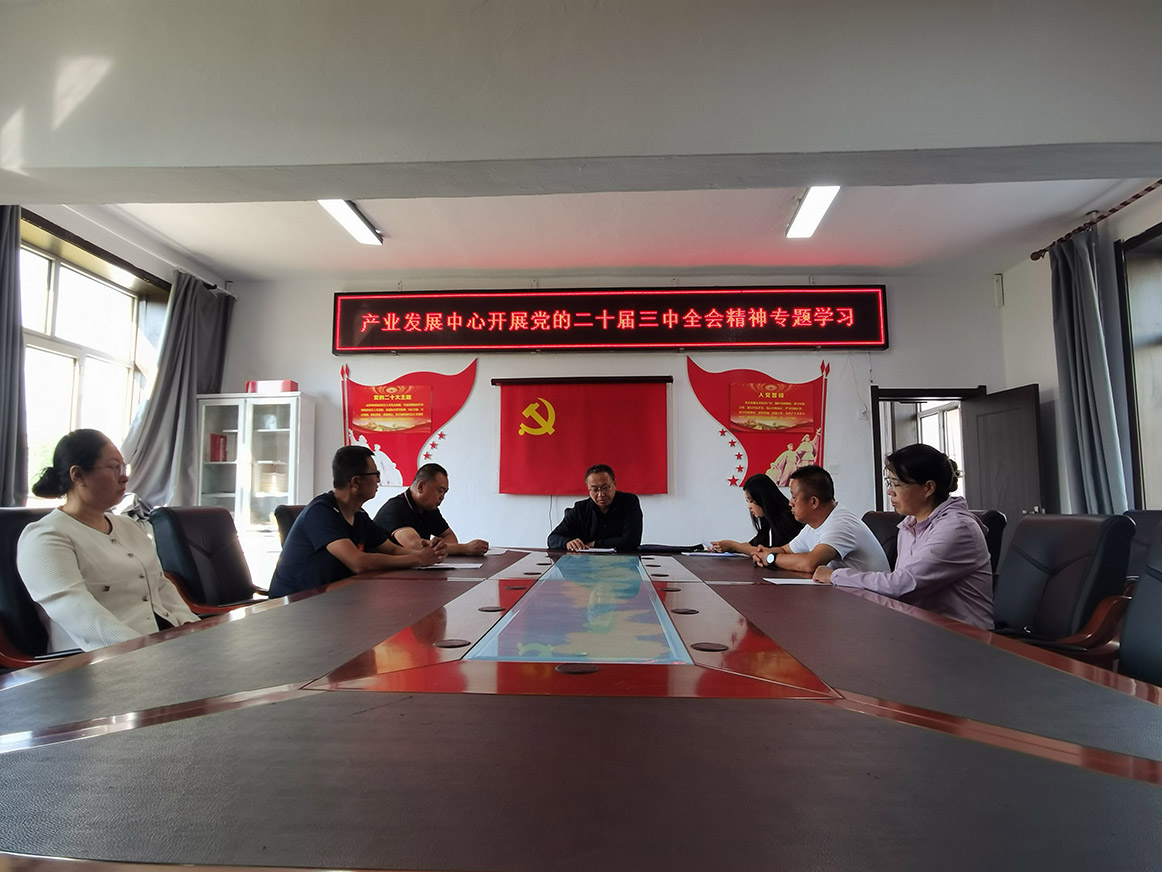 金河森工公司產業發展中心學習貫徹黨的二十屆三中全會精神 拷貝.jpg