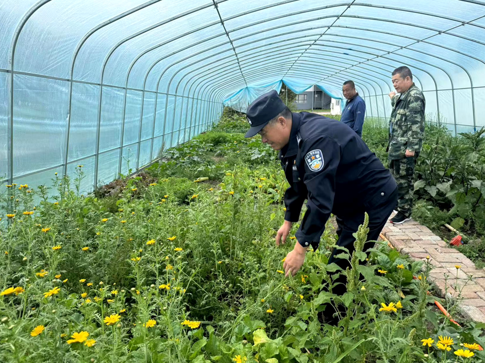 2、北部原始林區分局阿巴河派出所開展禁種鏟毒踏查及宣傳行動.png