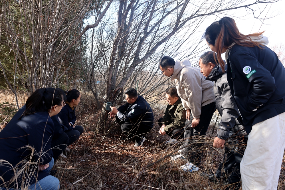 庫都爾森工公司庫都爾河國家濕地公園管理處開展業務知識培訓__已改.jpg