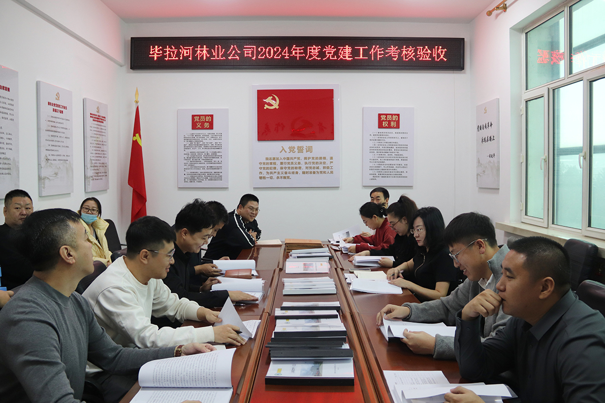 畢拉河林業(yè)公司黨委對(duì)2024年度黨建工作考核驗(yàn)收.JPG