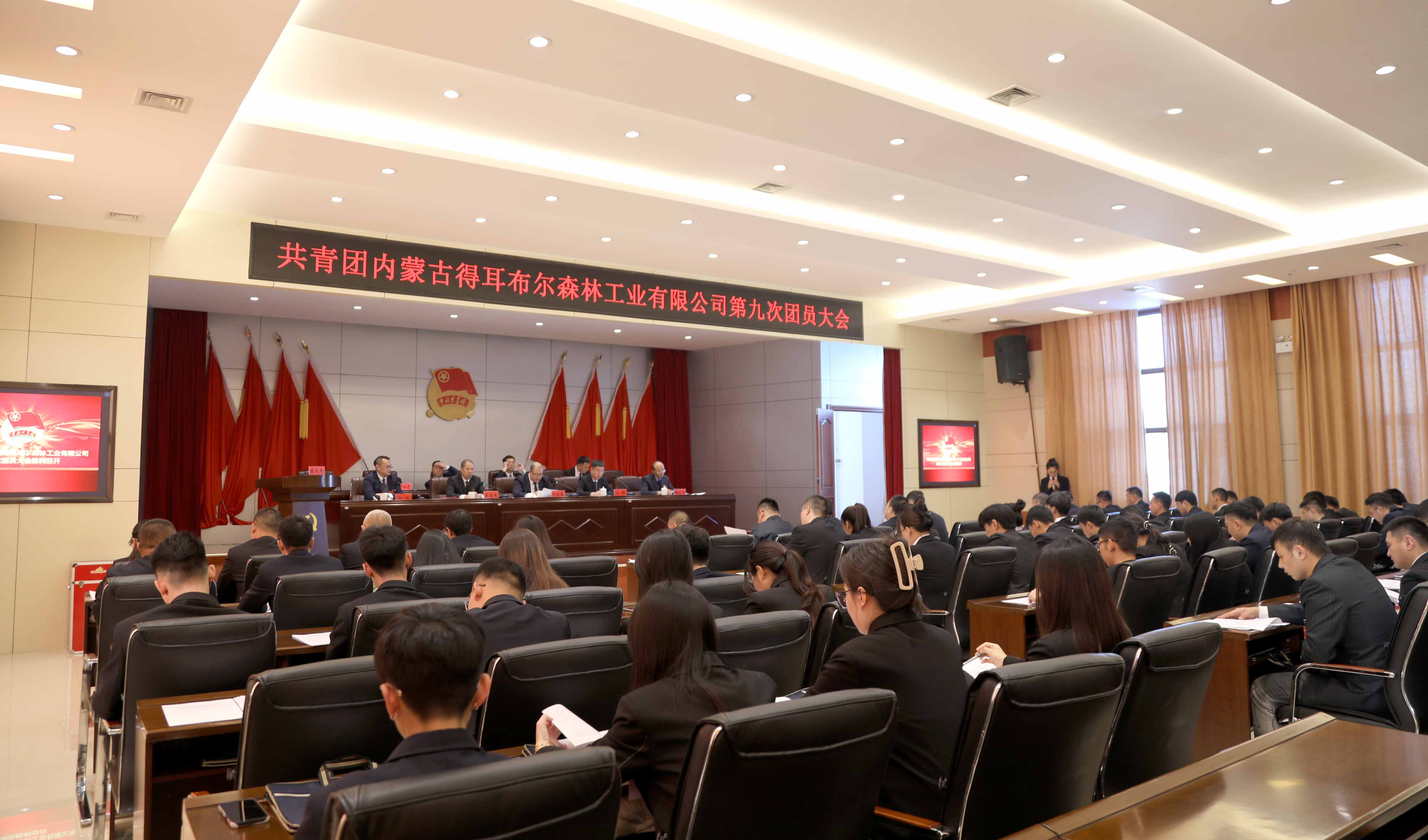 共青團(tuán)得耳布爾森林工業(yè)有限公司召開第九次團(tuán)員大會(huì)-(1).JPG