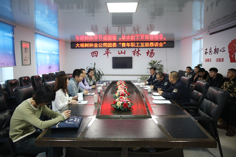 大楊樹林業公司團委到四平山林場開展“青年職工懇談會”活動.JPG
