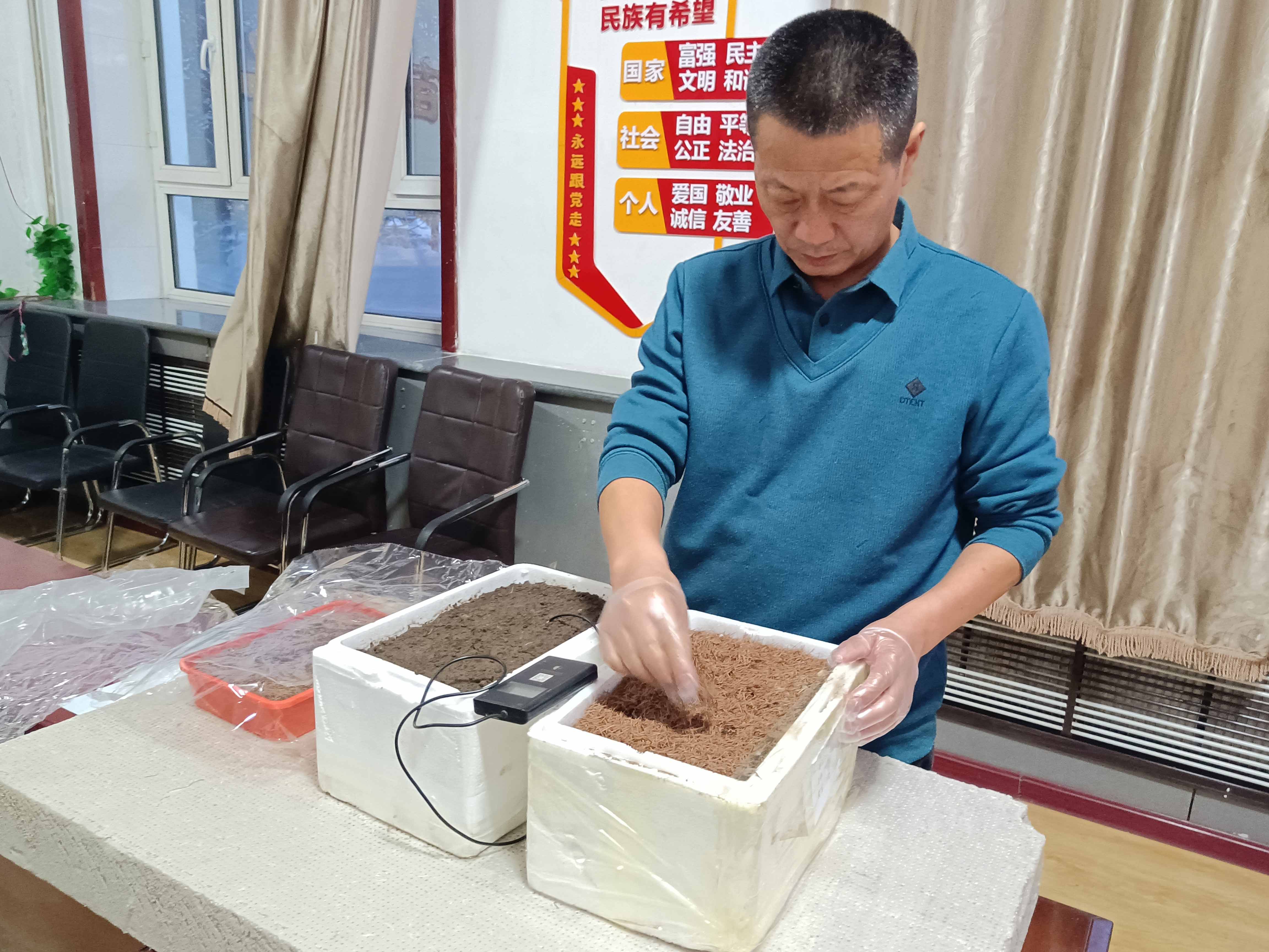 滿歸森工公司林木種苗開展西伯利亞紅松種子變溫催芽實驗.jpg