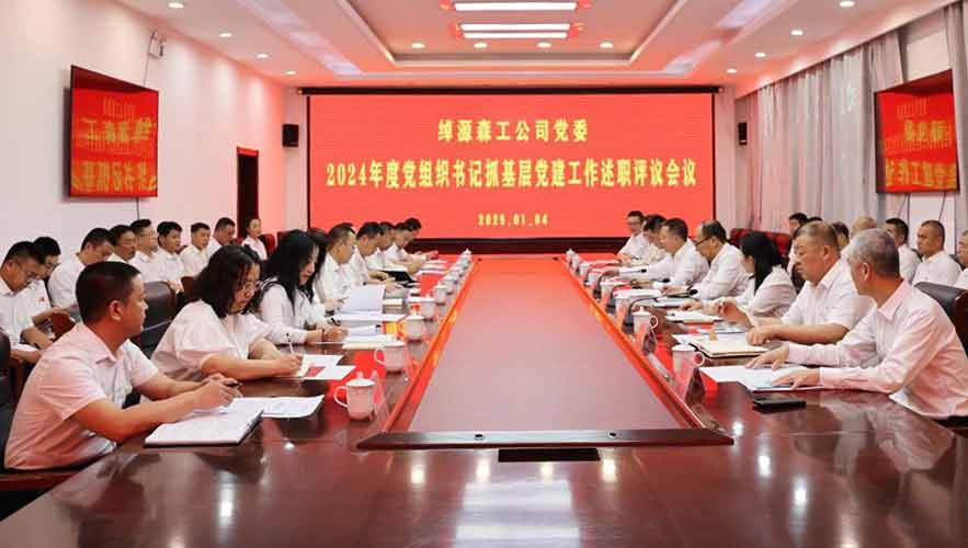 綽源森工公司黨委召開2024年度黨組織書記抓基層黨建工作述職評議會議.jpg