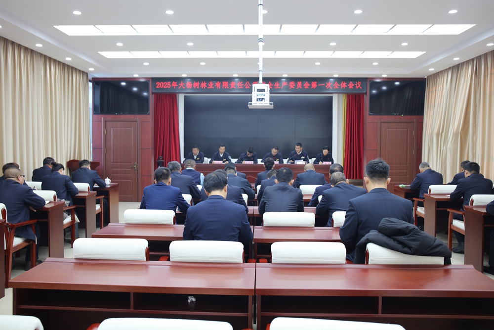 大楊樹林業公司召開2025年安全生產委員會第一次全體會議.JPG