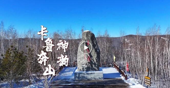 QQ截圖20250130092214.jpg