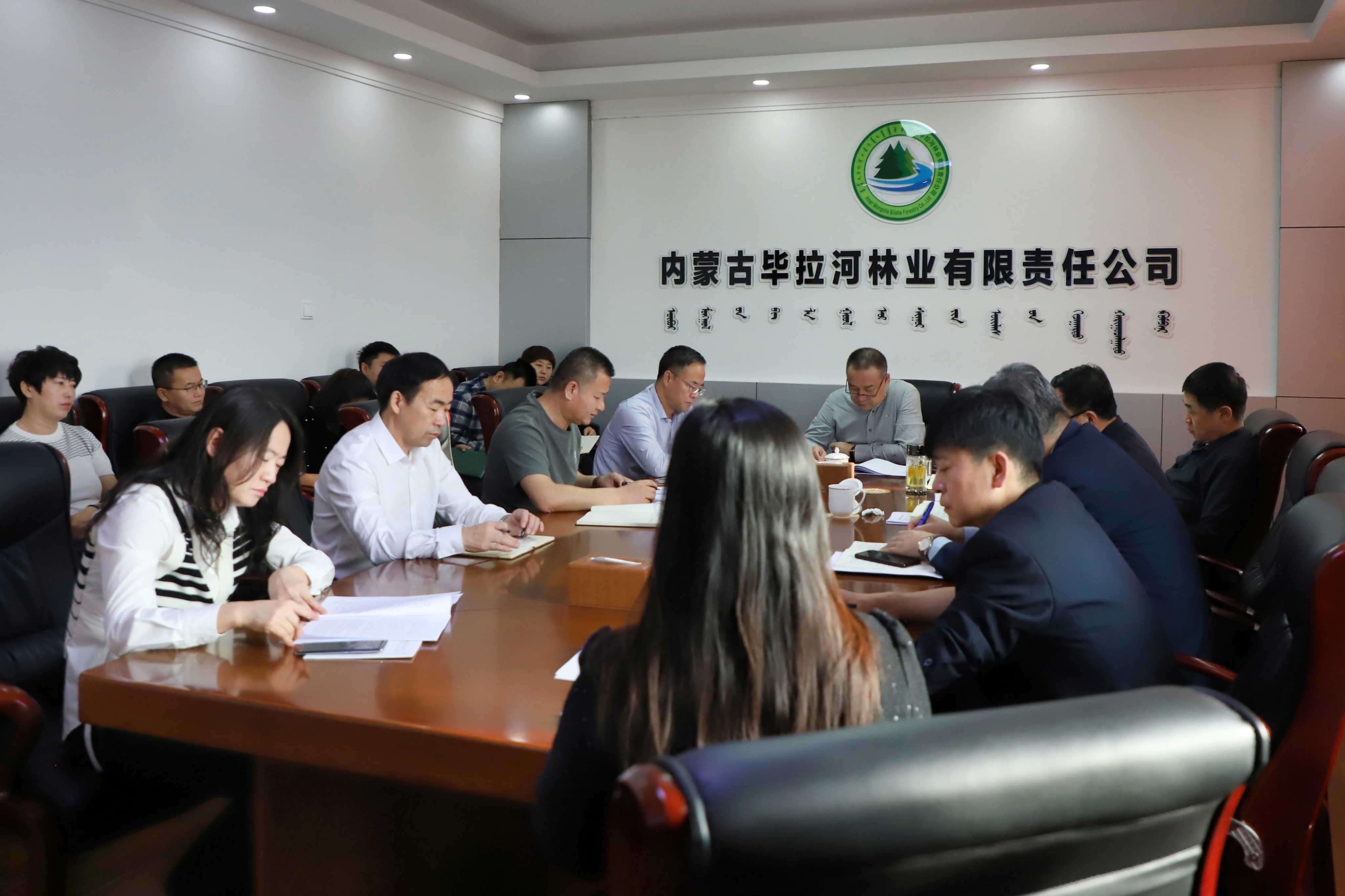 畢拉河林業(yè)公司審計整改工作領導小組第一次會議.jpg