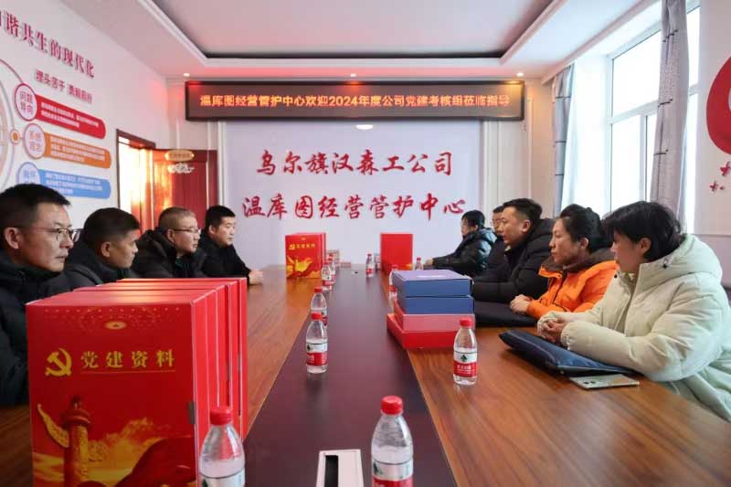 烏爾旗漢森工公司黨委開展2024年度黨建綜合檢查工作1.jpg