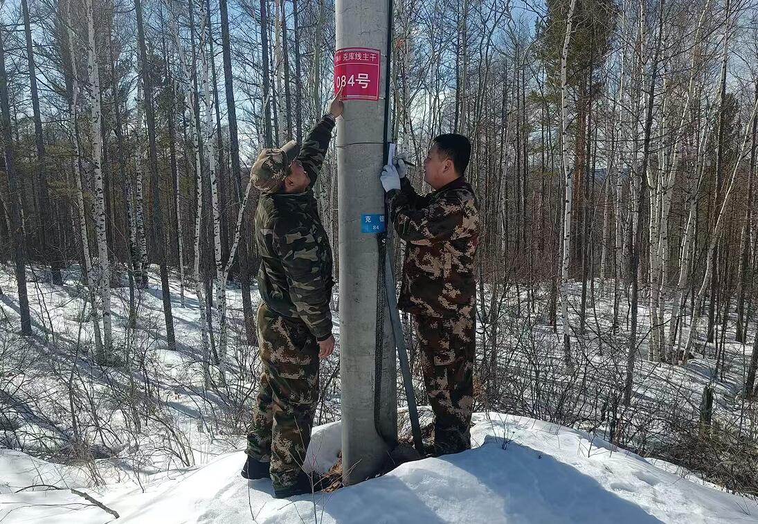 QQ截圖20250328091523.jpg