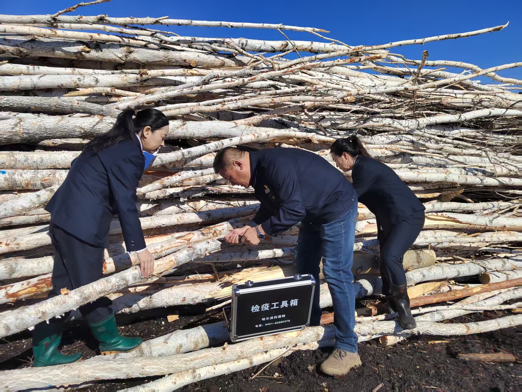 烏爾旗漢森工公司森林病蟲害防治檢疫站開展產地檢疫工作.jpg