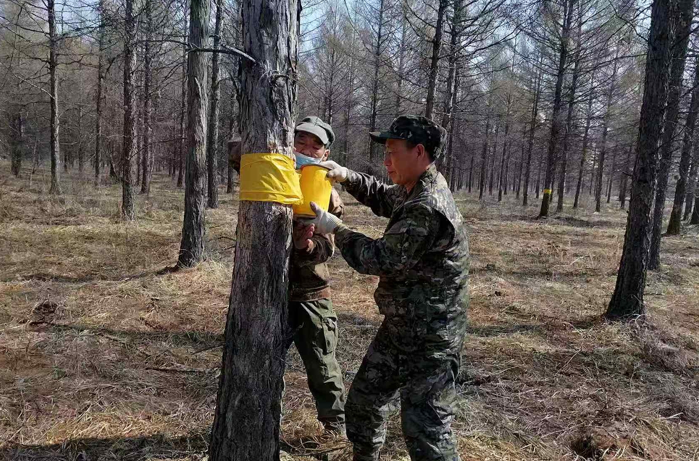 微信截圖_20250530093526.png