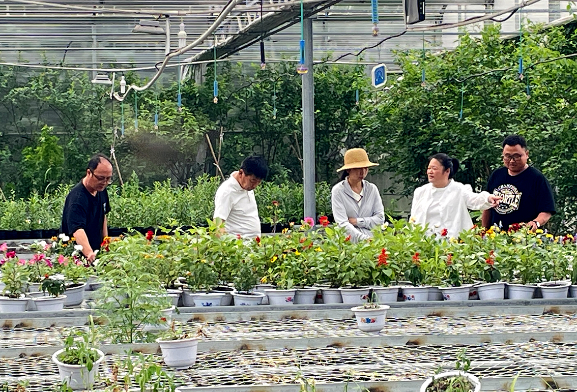庫(kù)都爾森工公司林木種苗中心開(kāi)展禁種鏟毒踏查 (2) 拷貝.jpg