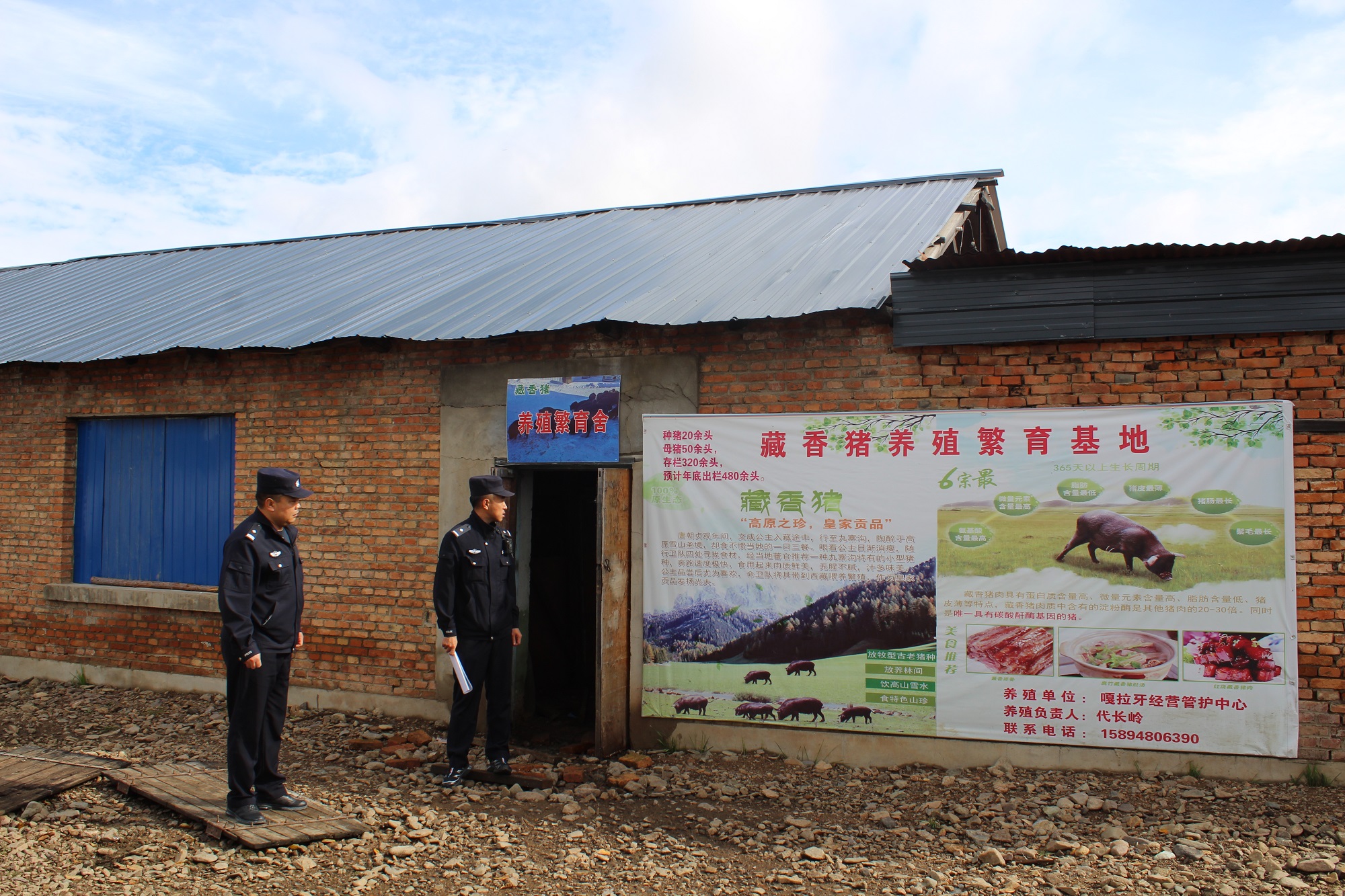 金河分局開展藏香豬繁育基地專項(xiàng)檢查.JPG